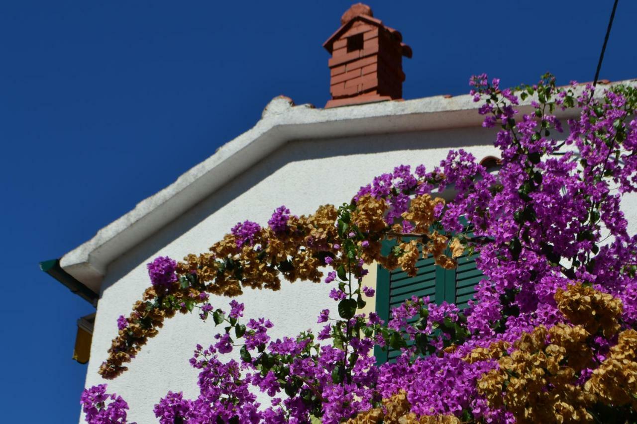 House Niva Διαμέρισμα Supetarska Draga Εξωτερικό φωτογραφία